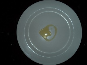 Figura 7 - Prato untado com azeite.